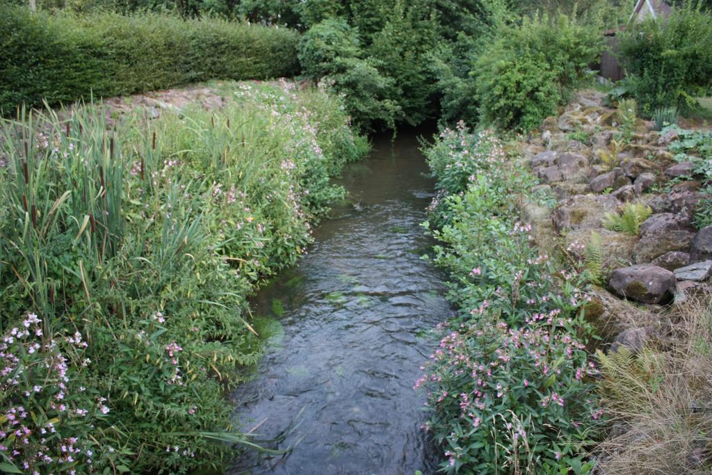 Gite Du Moulin Uhrwiller Esterno foto